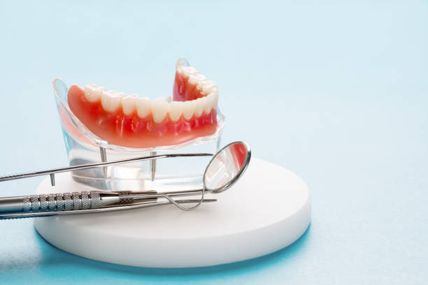 Best Preventive Dentistry  in Seguin, TX